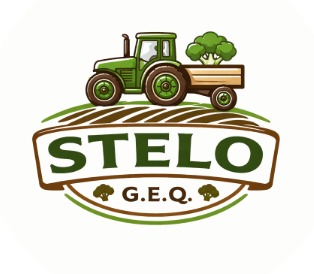 Stelo